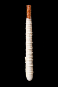 Caramel Pretzel Rods