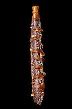 Caramel Pretzel Rods